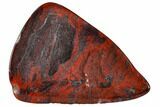 Polished Stromatolite (Collenia) - Minnesota #108577-1